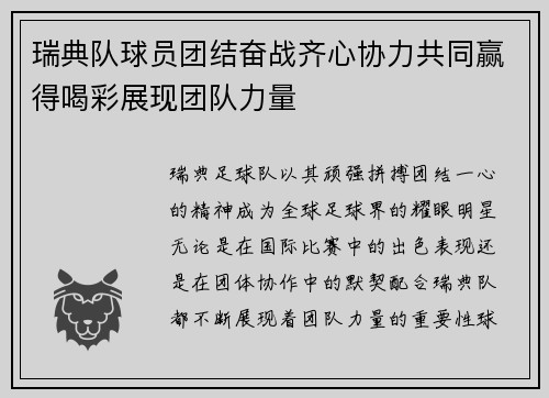 瑞典队球员团结奋战齐心协力共同赢得喝彩展现团队力量
