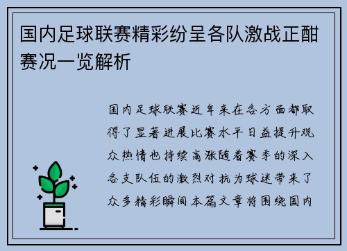 国内足球联赛精彩纷呈各队激战正酣赛况一览解析