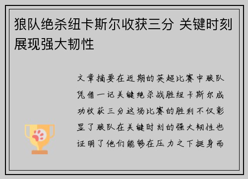 狼队绝杀纽卡斯尔收获三分 关键时刻展现强大韧性