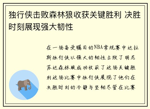 独行侠击败森林狼收获关键胜利 决胜时刻展现强大韧性