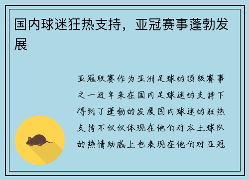 国内球迷狂热支持，亚冠赛事蓬勃发展